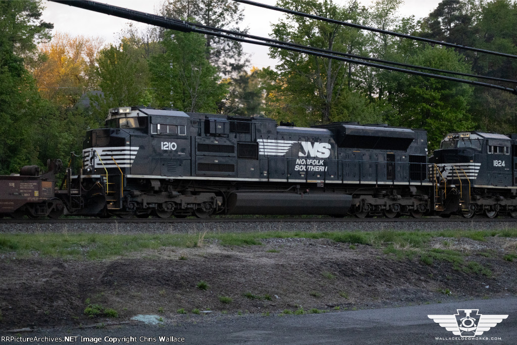 NS 1210